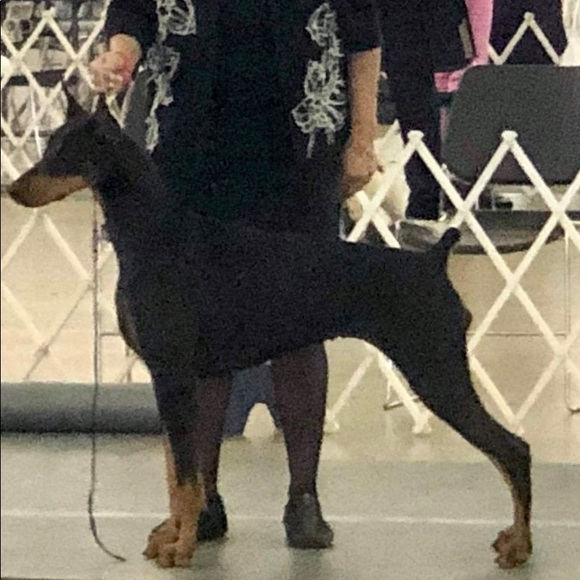 ❤️Nova❤️My Heart❤️ - Picture 3 of 16